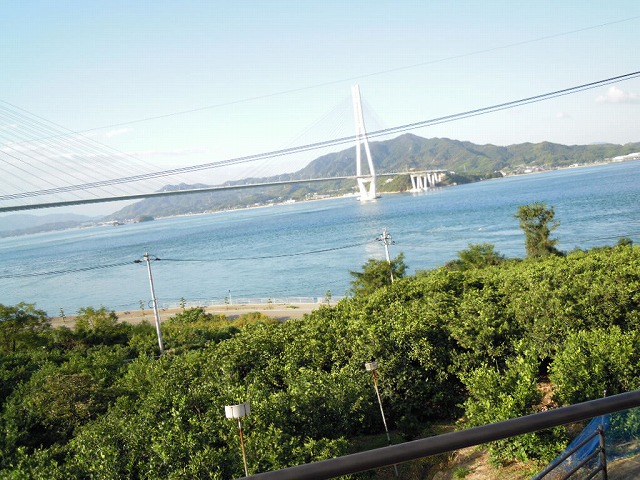 DSCN0054.jpg