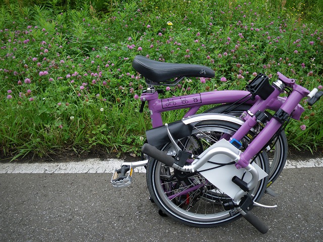 IMGP4376.jpg