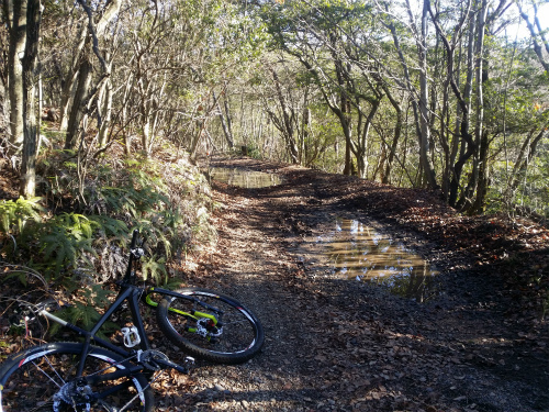re20160211_085916.jpg