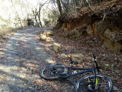 re20160211_102404.jpg